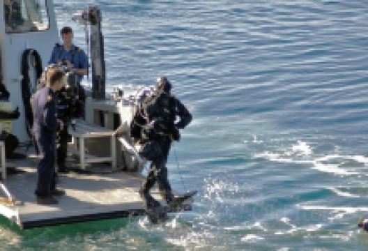 Divers Down购物图片