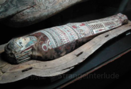 耶鲁大学皮博迪自然史博物馆景点图片