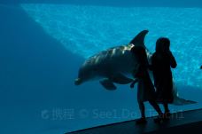 Texas State Aquarium-科珀斯克里斯蒂