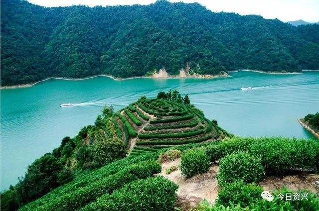 把草镇有多少人口_北流隆盛镇有多少人口