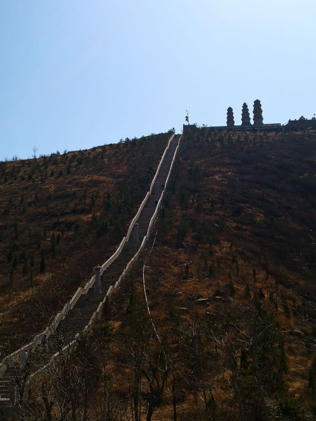 凤凰山森林公园旅行图片 3