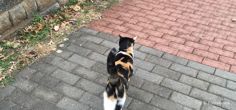 Linnaeus Teaching Gardens Travel Guidebook Must Visit Attractions