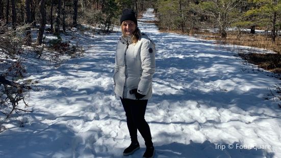 White Cedar Swamp