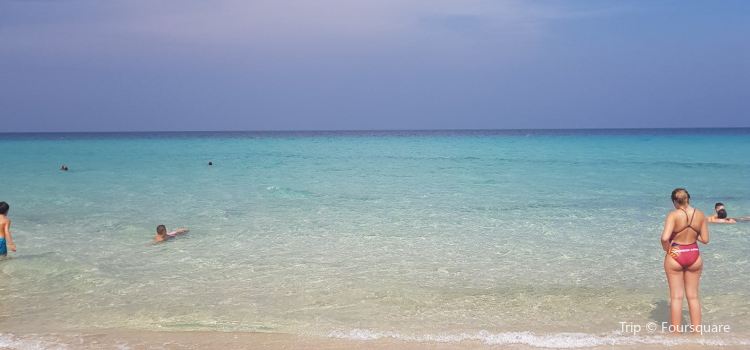 Spiaggia Di San Lorenzo Tickets Deals Reviews Family