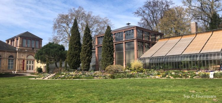 Botanischer Garten Karlsruhe Travel Guidebook Must Visit