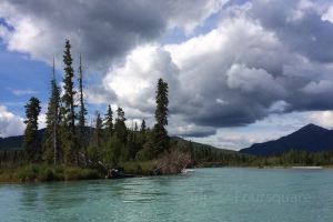 Turning Heads Kennel Tickets Deals Reviews Family Holidays