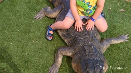 Canberra Reptile Zoo