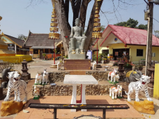 Chiang Rai City Pillar Shrine (San Lak Mueang)-清莱-_ccl43****8431360
