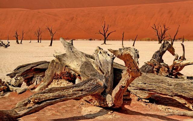 Namib-Naukluft National Park