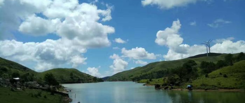 南山云雾山珍酸奶特产体验店餐厅图片