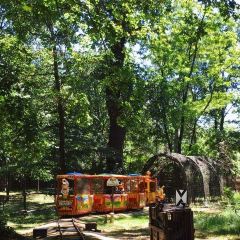 Leipzig Zoo Zoologischer Garten Leipzig Travel Guidebook Must Visit Attractions In Leipzig Leipzig Zoo Zoologischer Garten Leipzig Nearby Recommendation Trip Com