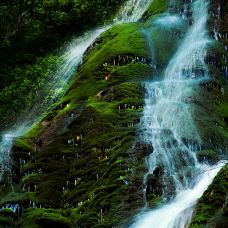 香水河-南漳-203876117