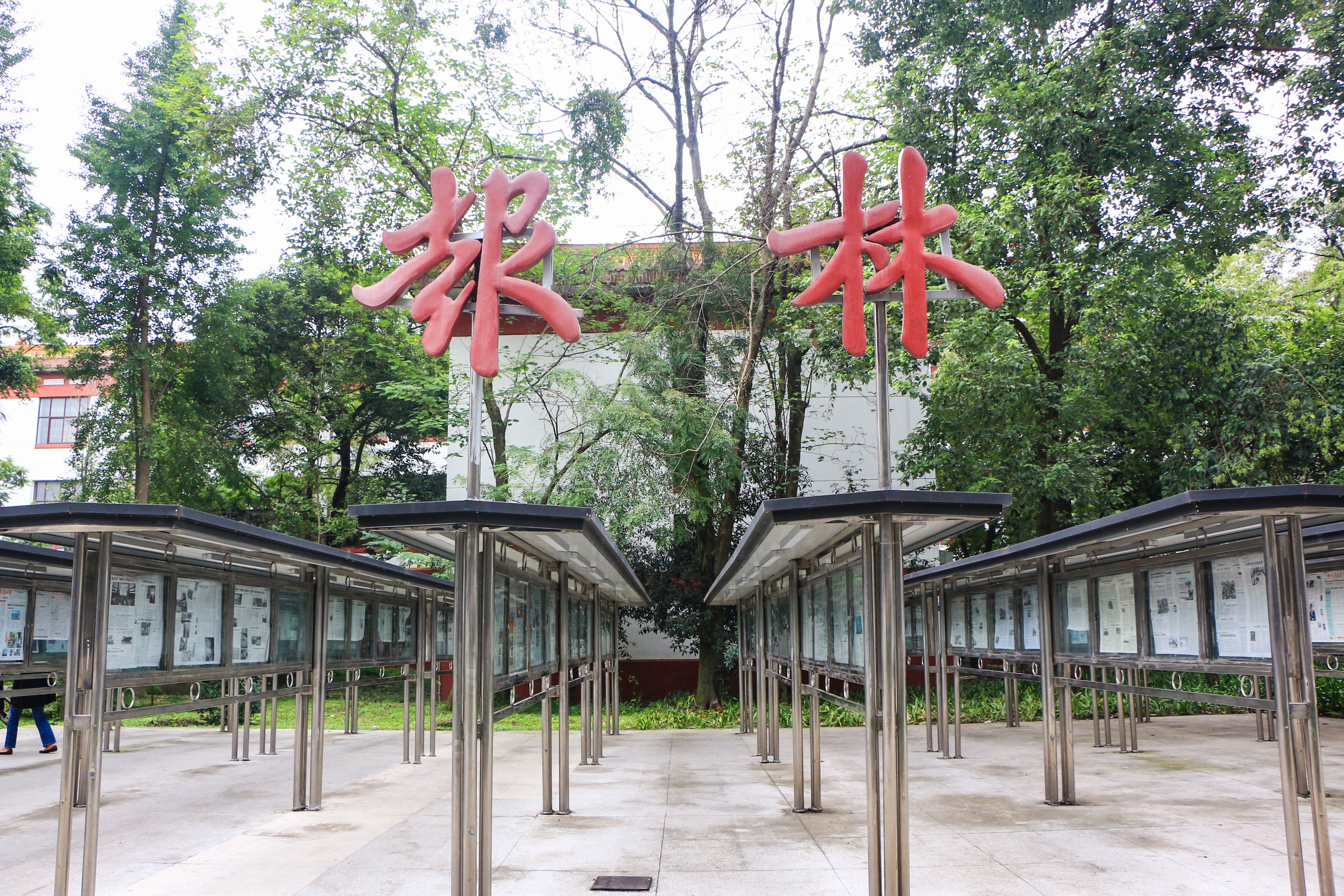 四川大学-报林