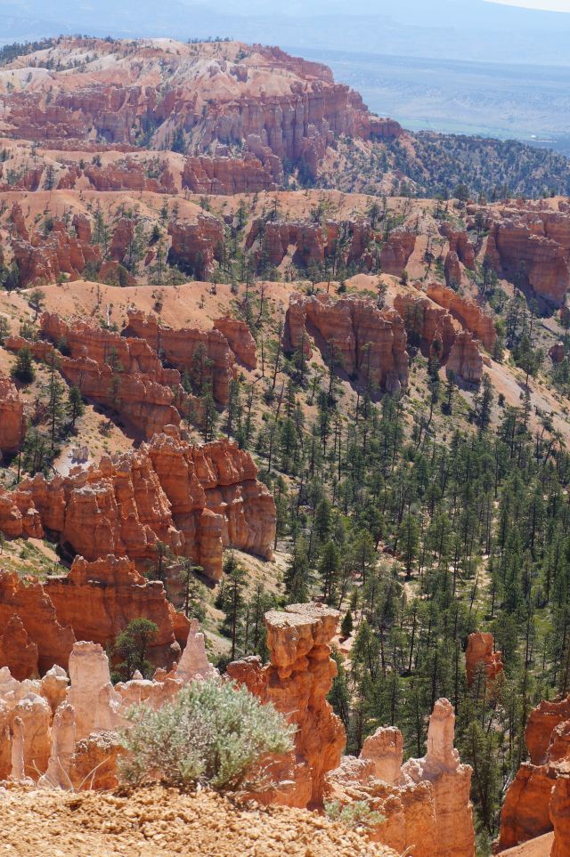 Bryce Canyon