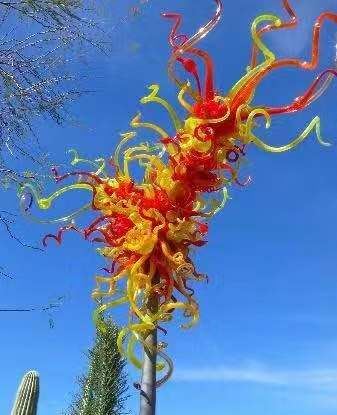 沙生植物园旅行图片 4