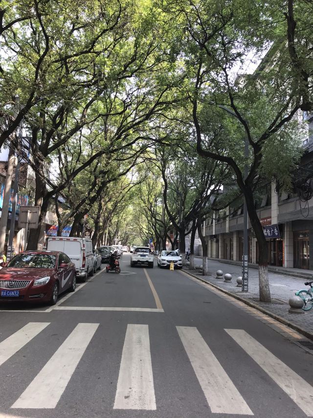 凤凰台旅行图片 11