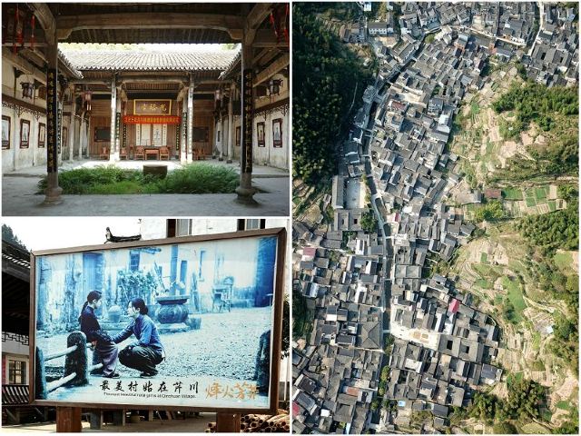 芹川村