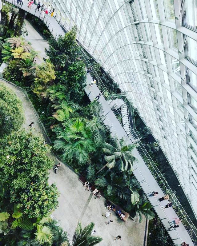 新加坡濱海灣花園