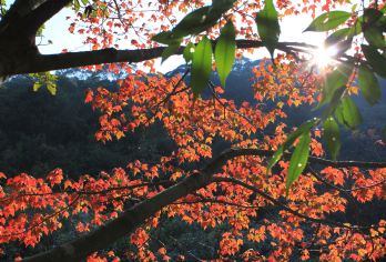 广州石门国家森林公园一日游【私家小团+市区上门接+真纯玩】【车型：5-9座经济型小车、15-18座小巴、按人数派车、一人一正座。】