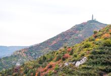 崛围山景点图片