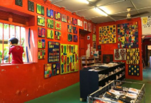 The Orangutanhouse购物图片