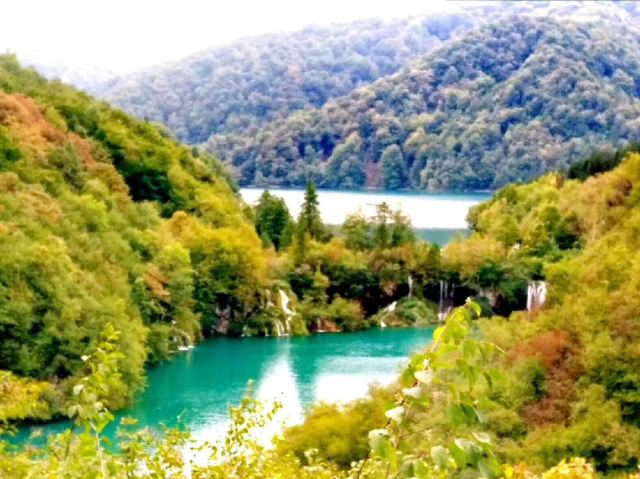 RIVA