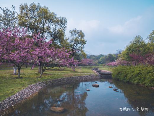 龙背山森林公园