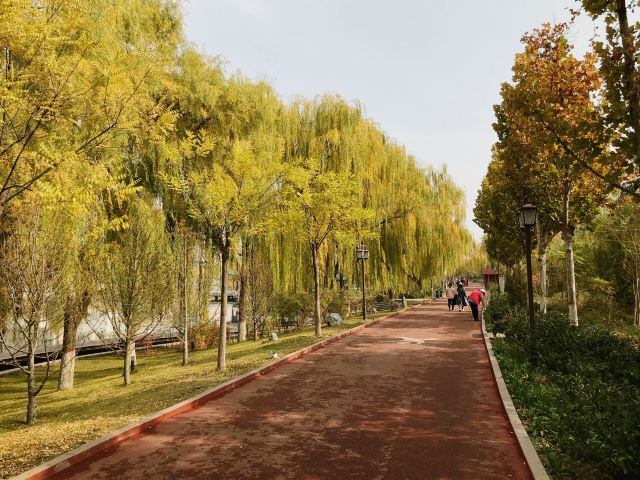 雁滩公园旅行图片 8