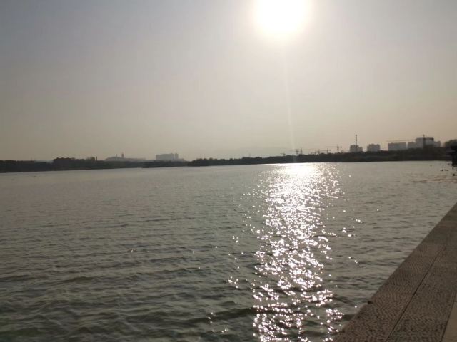 岭南公园旅行图片 1