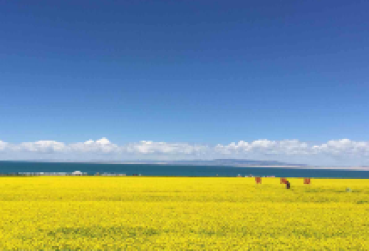 刚察旅游图片-5日敦煌+张掖+嘉峪关·青海湖骑行+沙漠露营夜观星河