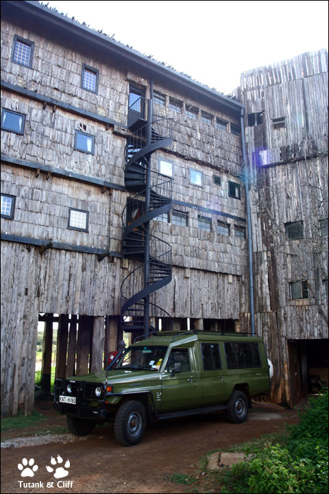 [ 前面是彩虹 后面是阳光 ] 走入肯尼亚（八） 树顶酒店（Treetops Hotel）始建于肯尼