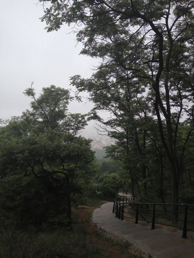 牛毛山公园旅行图片 2