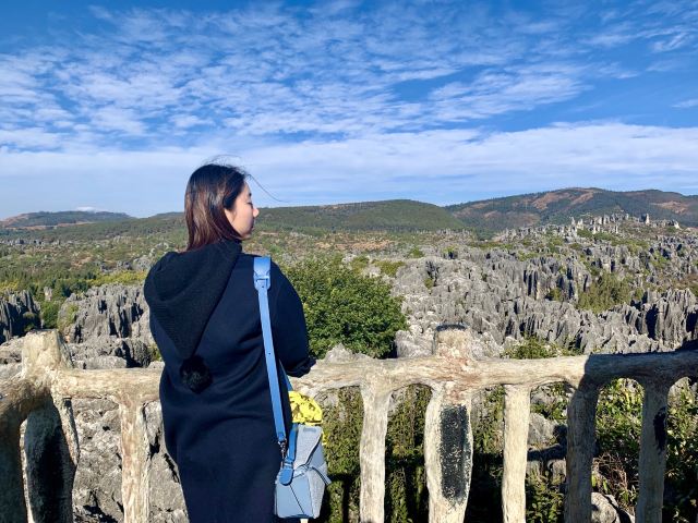乃古石林风景区旅行图片 4