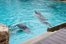 海哺栖息地-新加坡-M_梦初