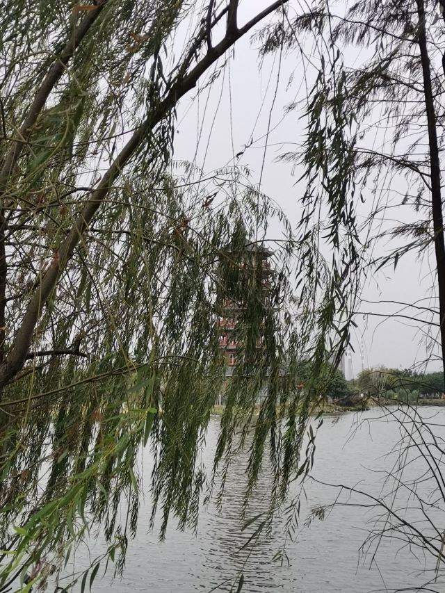 华阳湖国家湿地公园旅行图片 9