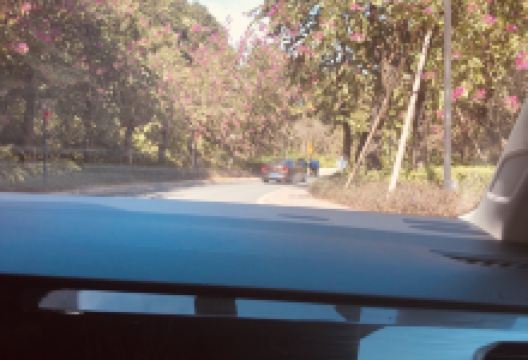 多乐士(温泉中路店)购物图片