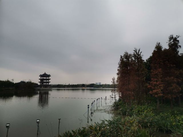 华阳湖国家湿地公园旅行图片 8