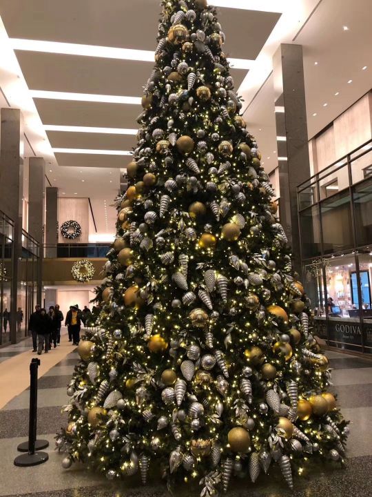 Starbucks餐厅图片