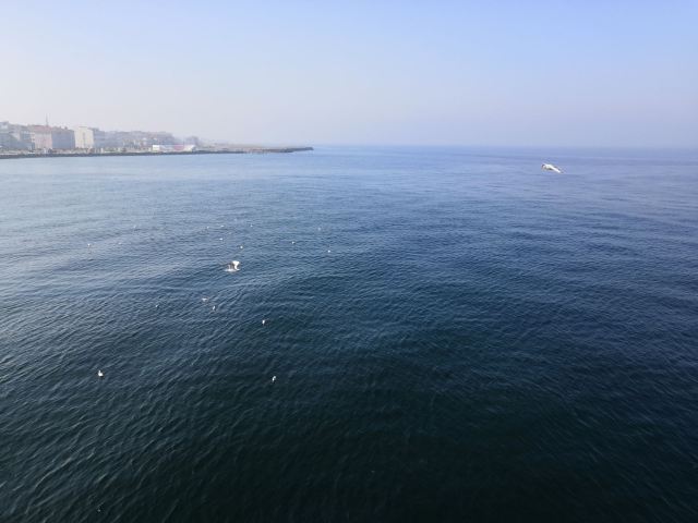 周水子广场旅行图片 3