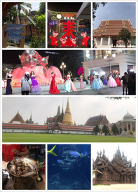 曼谷游记图片] 2020年春节前曼谷+芭提雅+大城10天带婆婆人均7000经济自由行