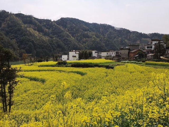 石潭村旅行图片 2