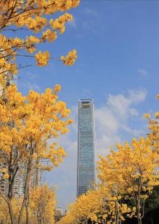 珠江公园-广州-YoYo_2D8I7D0H