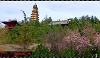 向春天出发——2019，3，自驾、踏春。（二）运城、解州、永济。