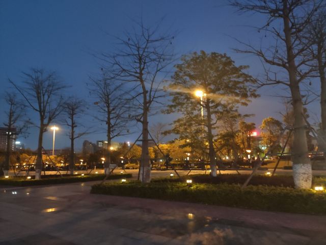 中心广场旅行图片 2