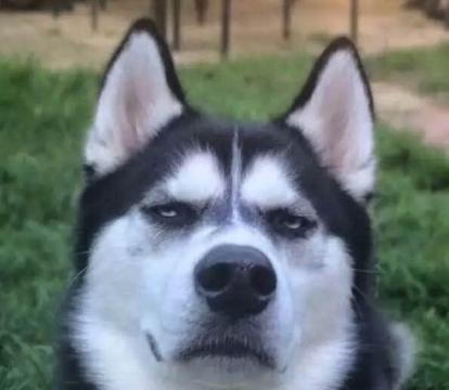 苏客(迈化路店)