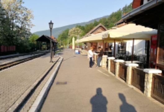 Restoran Lotika美食图片