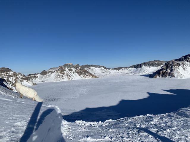 West Slope of Changbai Mountain Scenic Area