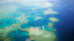 大堡礁游记图片] 人均3万6五星酒店+公务舱 澳洲十四日攻略（四）美丽的凯恩斯 美丽的大堡礁