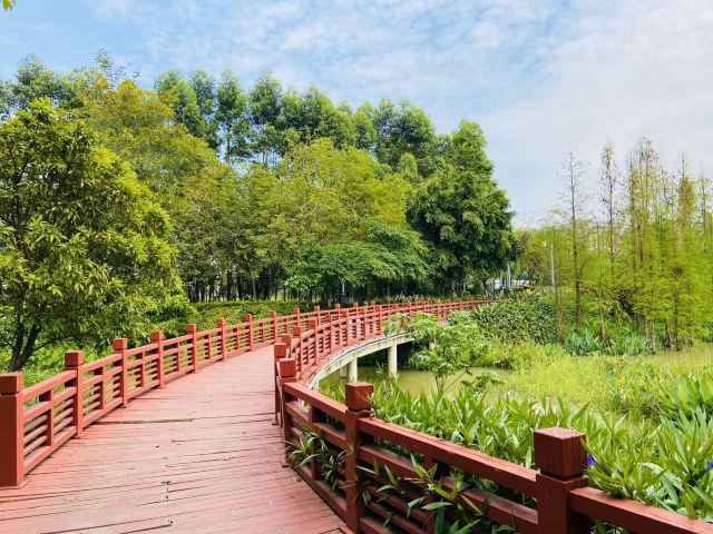 华阳湖国家湿地公园旅行图片 1