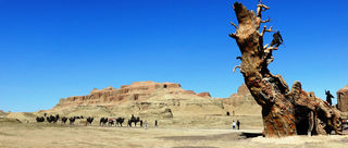 国内这几个冷门的旅行胜地，藏着不输国外的大片级景色！